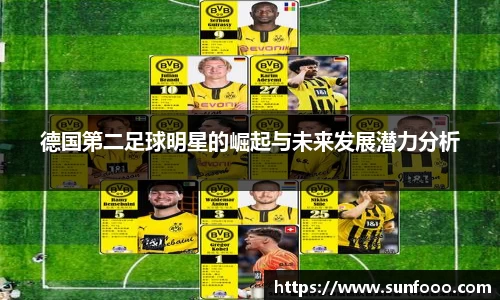 xc体育网址入口