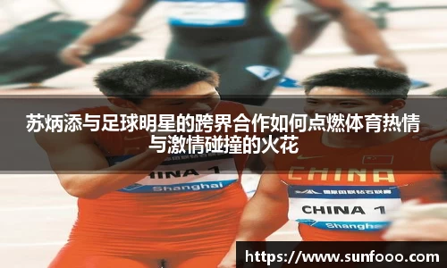 xc体育app官方网站