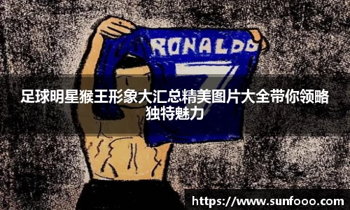 xc体育app官方网站